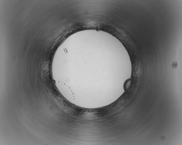 X0000113930560200910231924