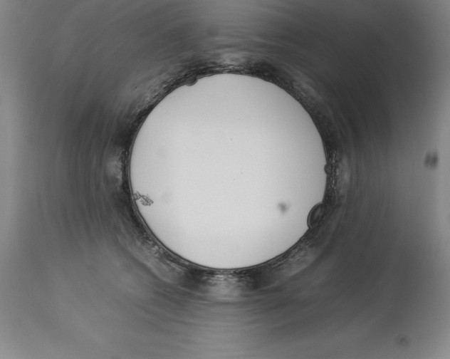 X0000113930562200910231924