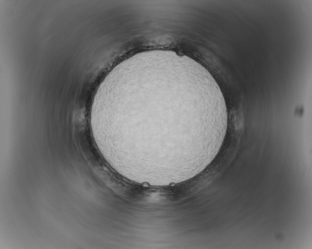 X0000113930564200910231924