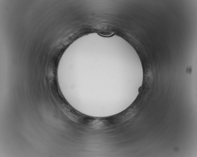 X0000113930566200910231924
