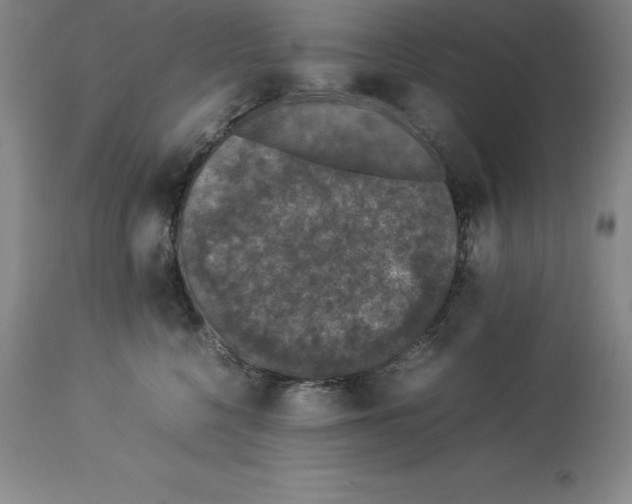 X0000113930568200910231924