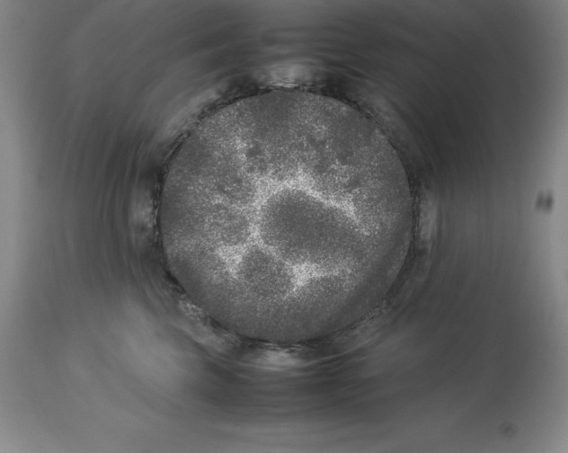 X0000113930569200910231924