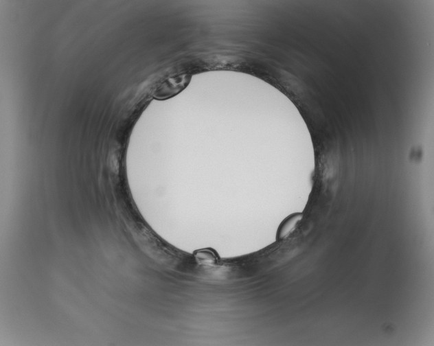 X0000113930570200910231924