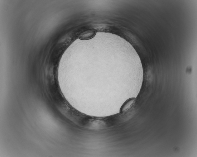 X0000113930572200910231924