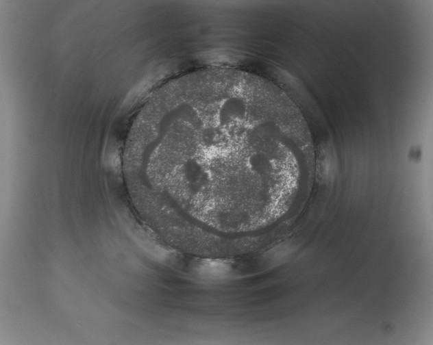 X0000113930573200910231924