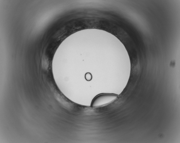 X0000113930574200910231924