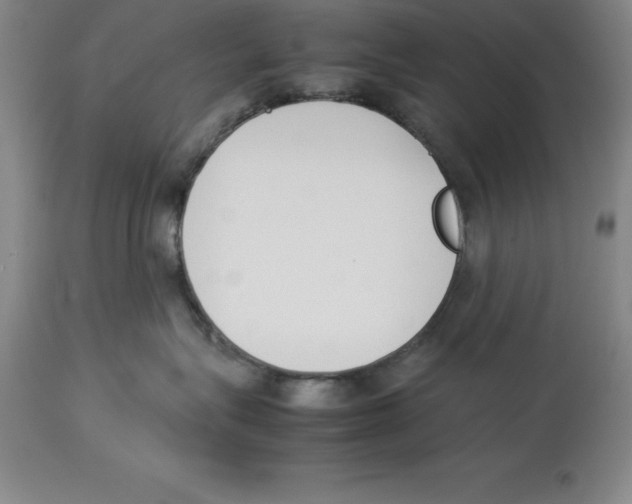 X0000113930575200910231924