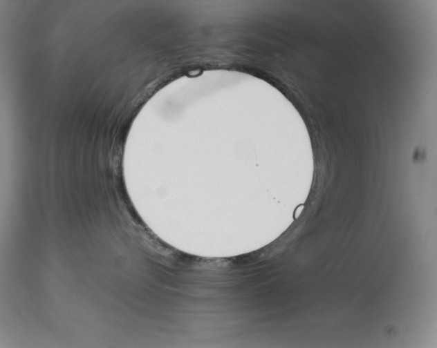 X0000113930576200910231924