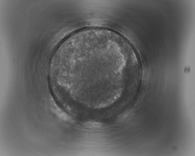 X0000113930577200910231923