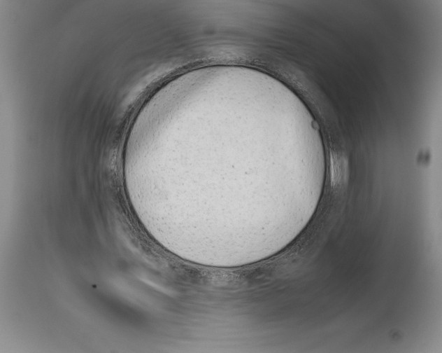 X0000113930579200910231923