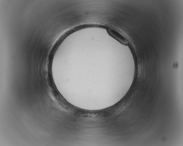X0000113930580200910231923