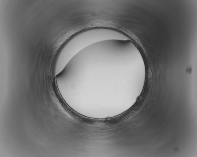 X0000113930581200910231923