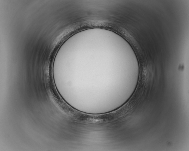 X0000113930582200910231923