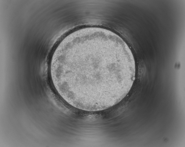 X0000113930584200910231923