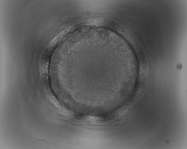 X0000113930585200910231923