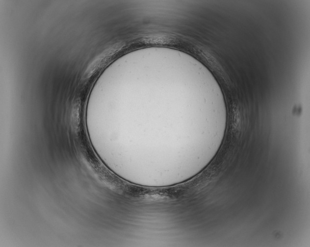 X0000113930586200910231923