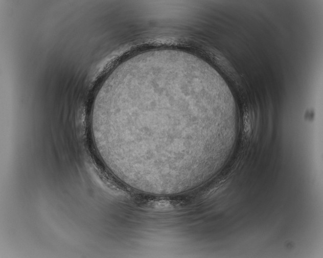 X0000113930588200910231923