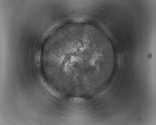 X0000113930590200910231923