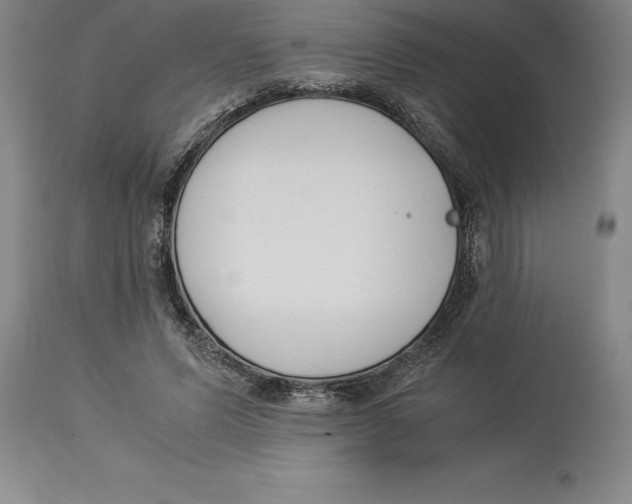 X0000113930591200910231923