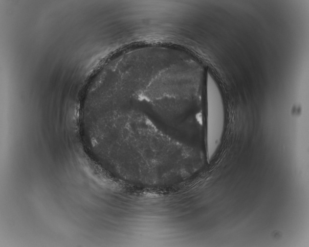 X0000113930592200910231923
