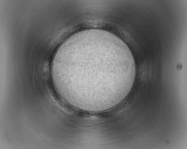 X0000113930594200910231923
