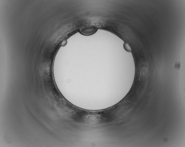 X0000113930595200910231923