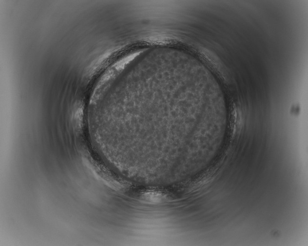 X0000113930596200910231923