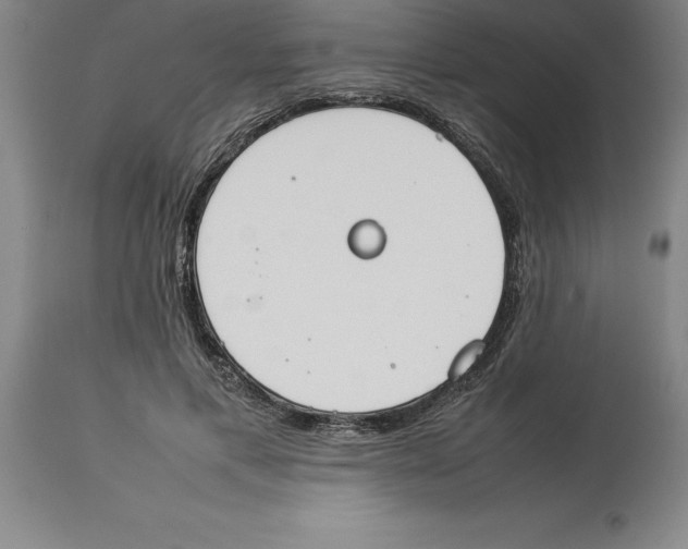 X0000113930597200910231923