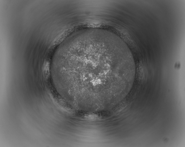 X0000113930598200910231923
