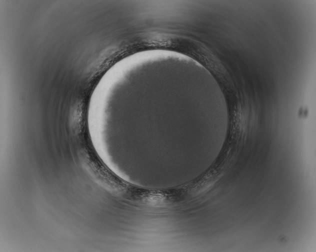 X0000113930600200910231923