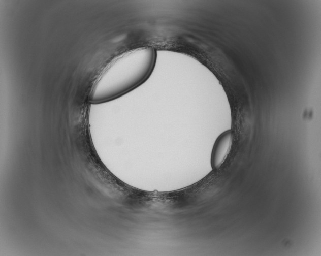 X0000113930601200910231923
