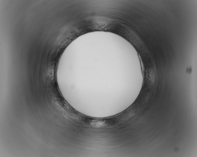 X0000113930602200910231923