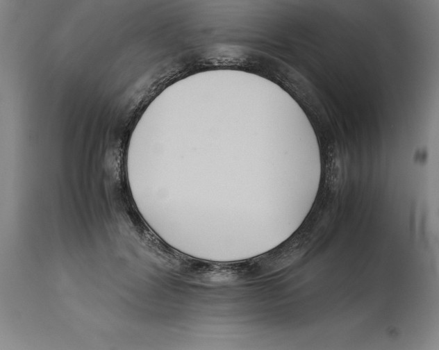 X0000113930604200910231923
