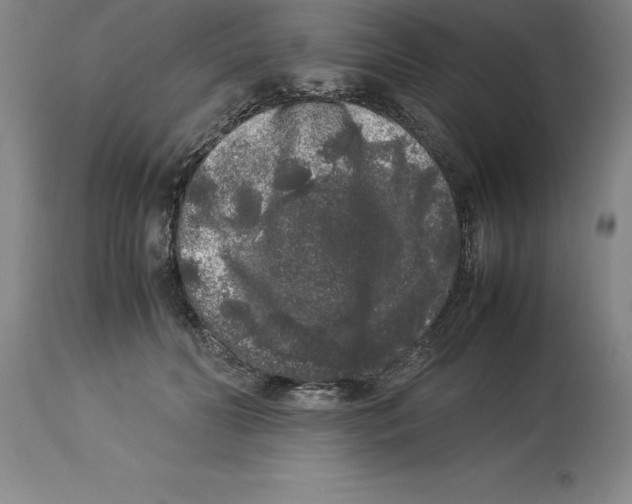 X0000113930606200910231923