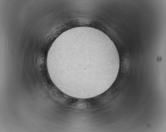 X0000113930608200910231923
