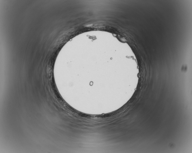 X0000113930609200910231923