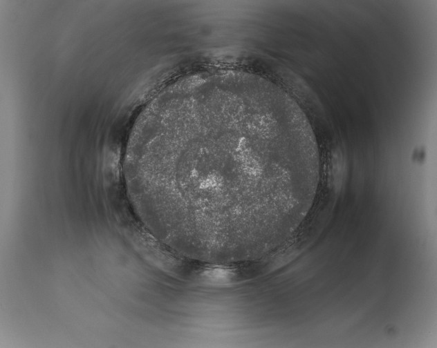 X0000113930610200910231923