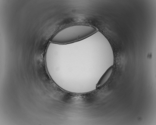 X0000113930611200910231923