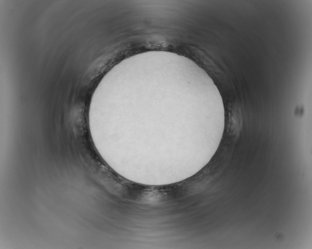 X0000113930616200910231923