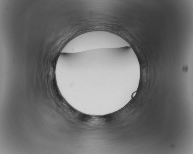 X0000113930617200910231923