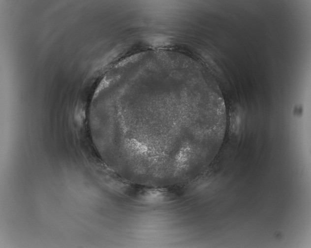 X0000113930618200910231923