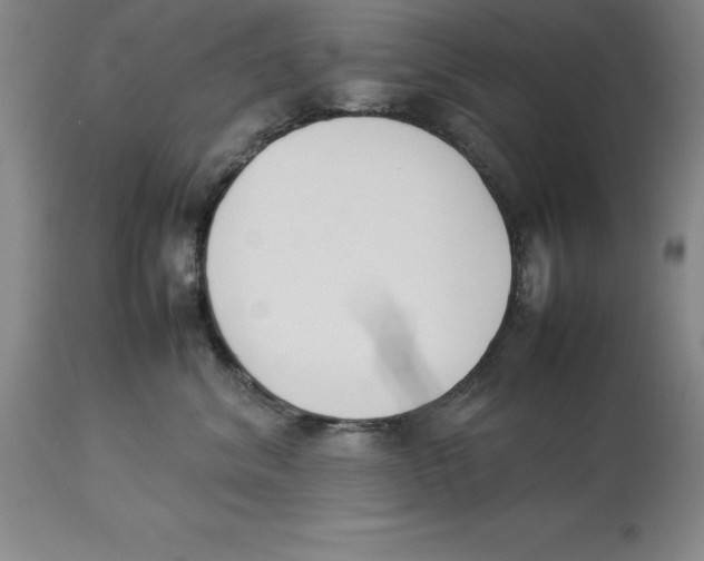 X0000113930620200910231923