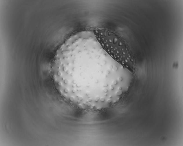 X0000113930621200910231923