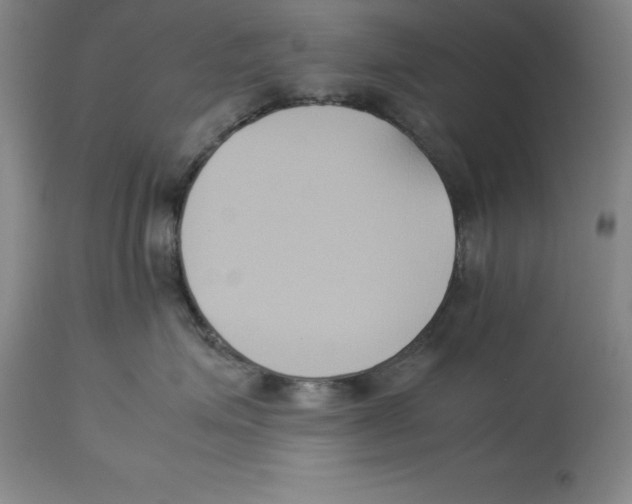 X0000113930623200910231923