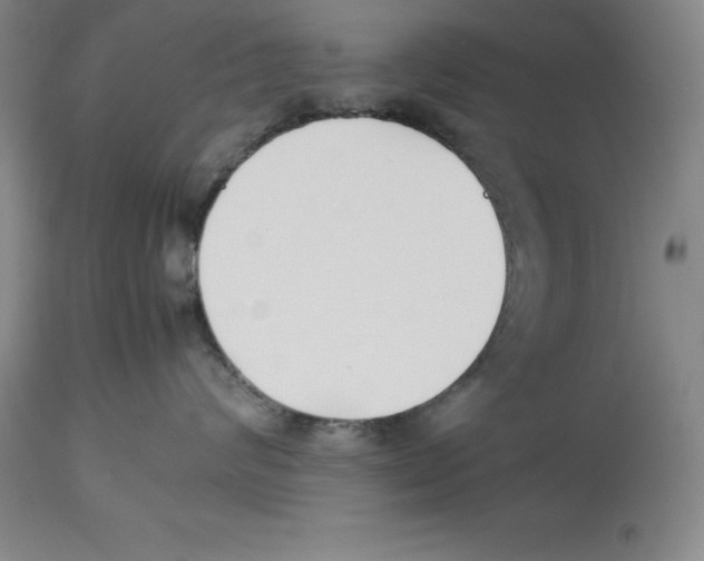 X0000113930624200910231923