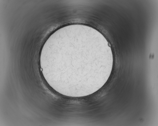 X0000113930625200910231922