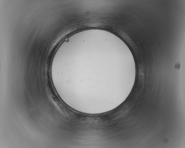 X0000113930626200910231922