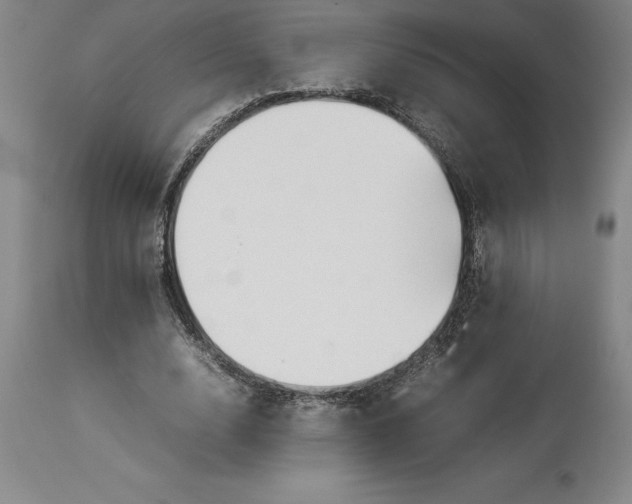 X0000113930632200910231922