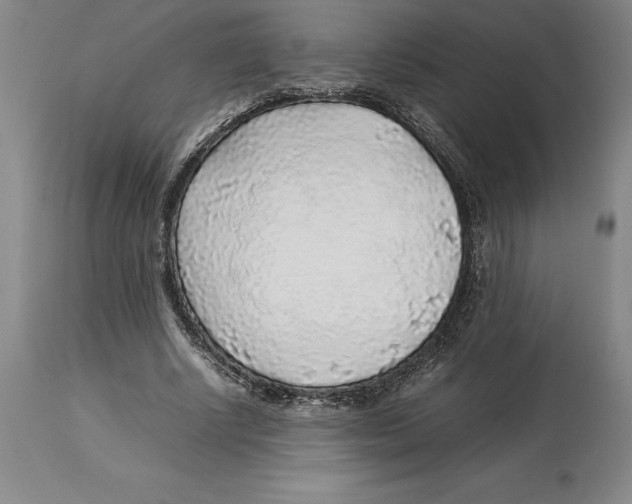 X0000113930634200910231922