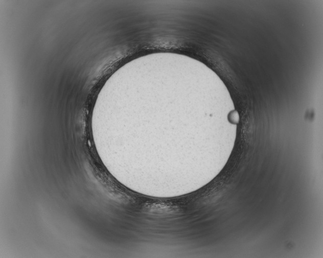X0000113930635200910231922